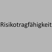 </p> <h3> Risiko- tragfähigkeits- reporting